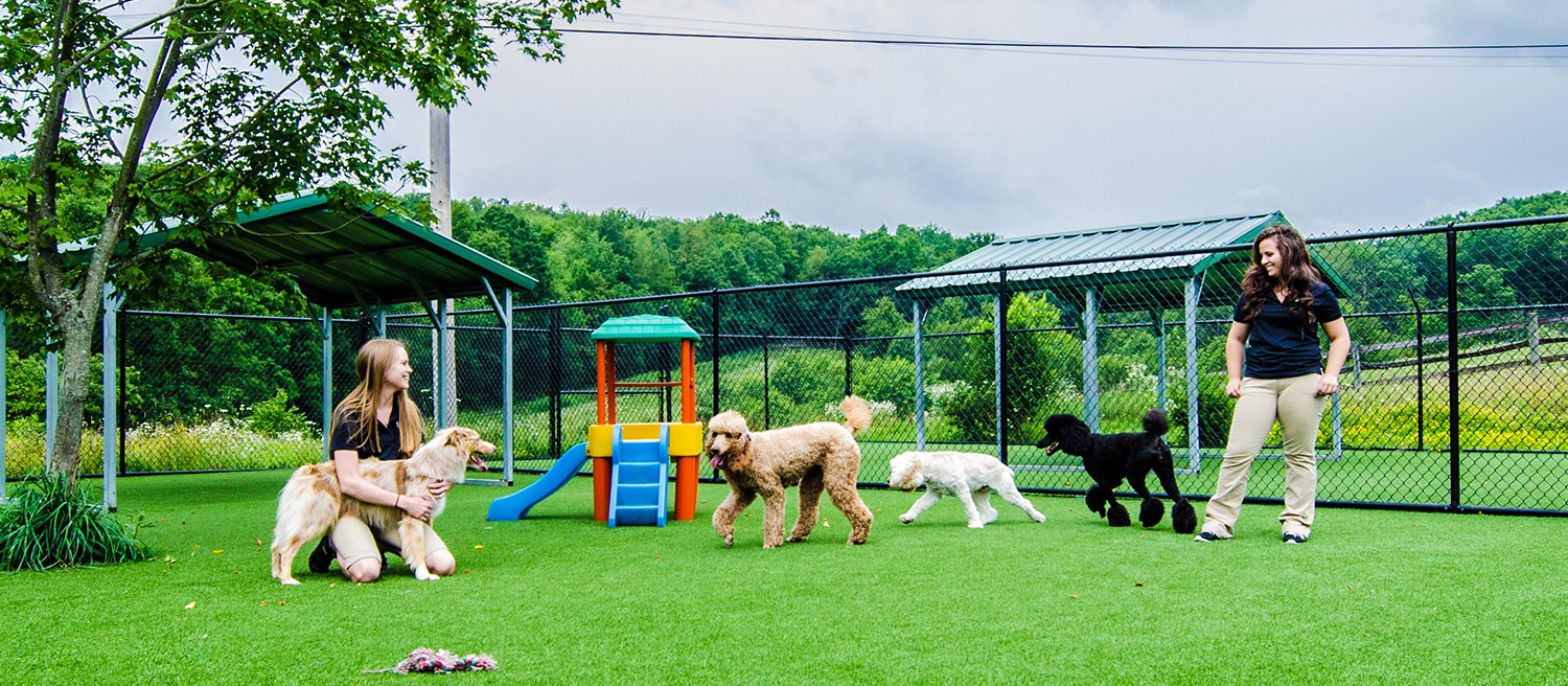 Directions Pet Resort & Spa Nemacolin Wooflands