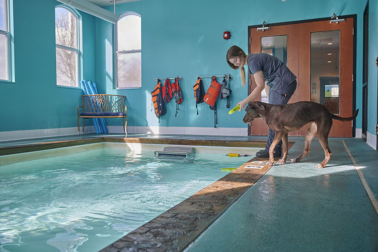 Woodlands Animal Care Center